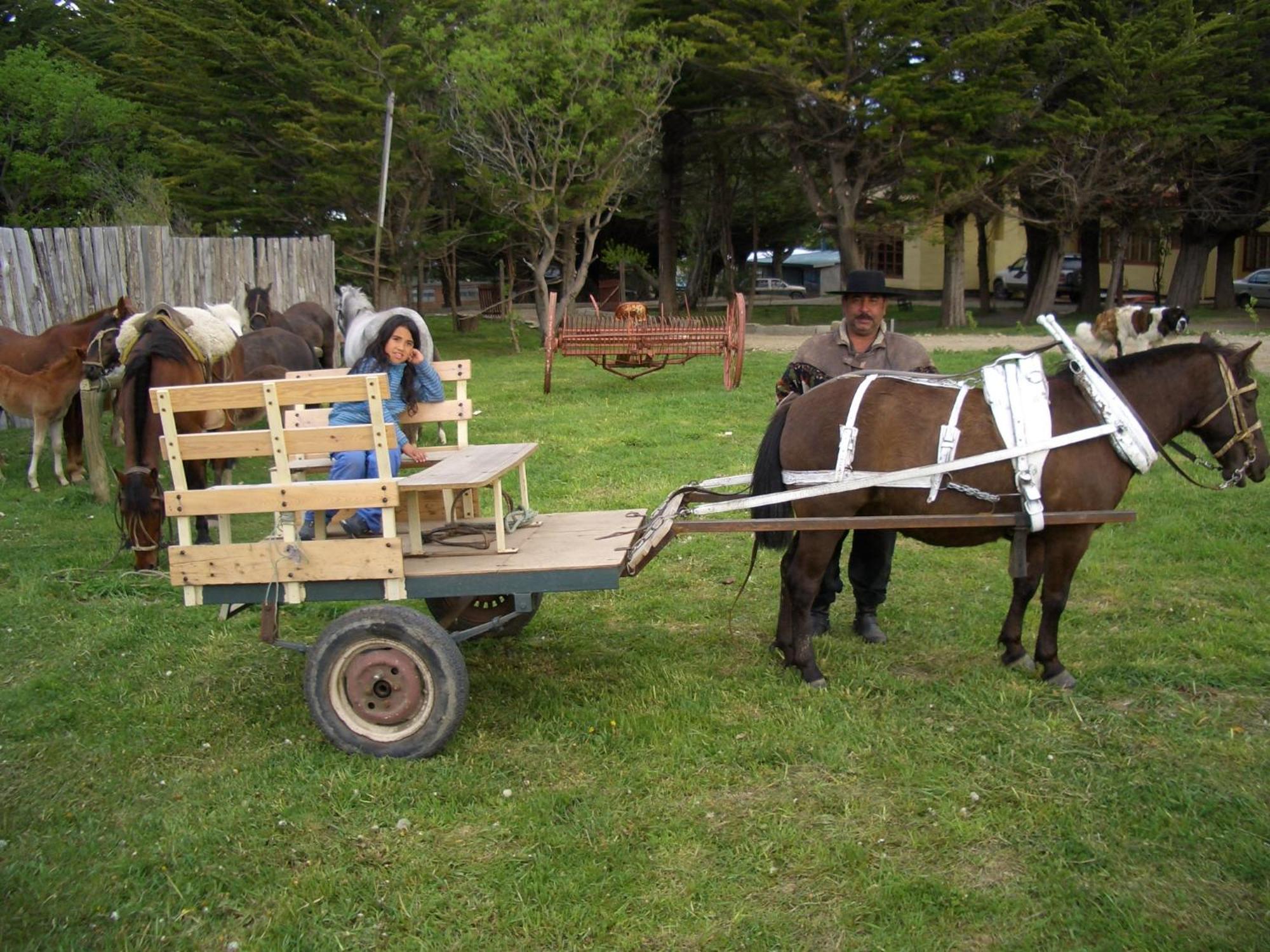 Estancia Rio De Los Ciervos プンタアレナス エクステリア 写真