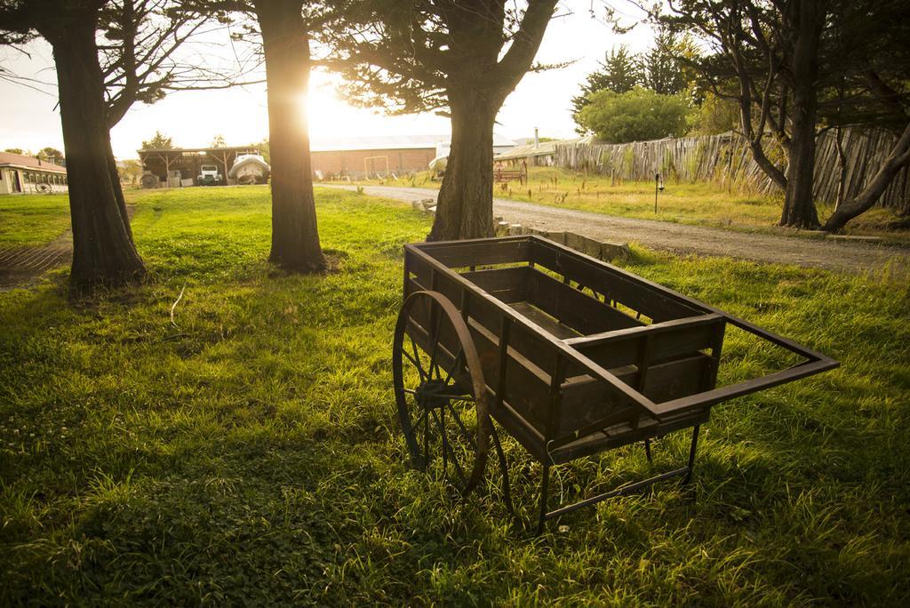 Estancia Rio De Los Ciervos プンタアレナス エクステリア 写真