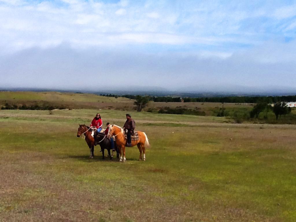 Estancia Rio De Los Ciervos プンタアレナス エクステリア 写真